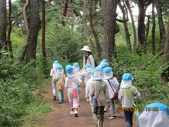 みんなで歩いている画像