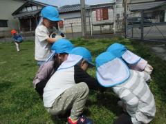 ちょうちょ組の虫探しの画像