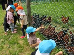 めだか組・ちょうちょ組のささえたまご農園へお出かけの画像