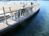 魚を見つけた子ども達の画像