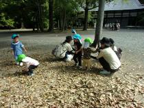 落ち葉で遊んでいる画像