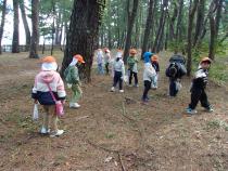 松林を散歩している画像