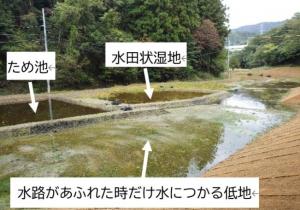 復元された多様な湿地の写真の画像