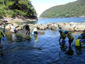 海で磯遊びの画像