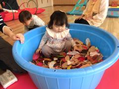 落ち葉のプールの中にいる子どもの画像