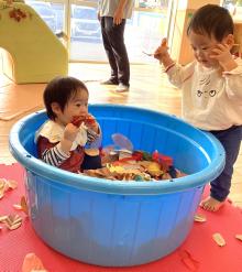 落ち葉のプールの中にいる子どもとその側にいる子どもの画像