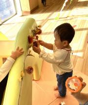 くりを発見した子どもの画像