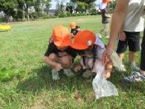 らっこ組の虫取りの画像