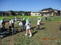 いもづるで遊んでいる園児の画像