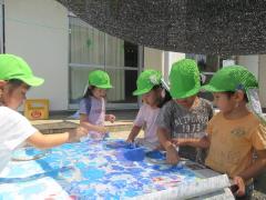 ぺんぎん組のスポンジを使ってお絵かきの画像