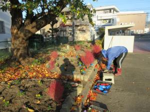 花苗を植えている写真