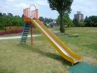 すべりだいの画像