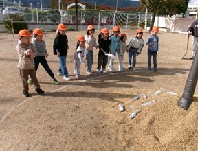 さつま芋を火の中に入れています。