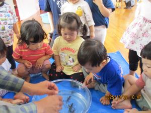 生き物を見ている