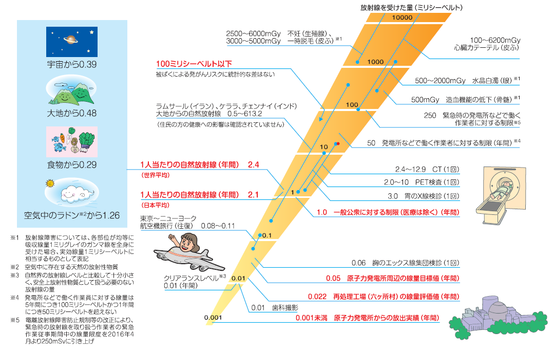 日常生活で受ける放射線の放射線量