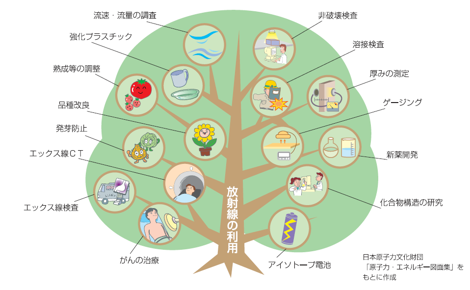 放射線の活用