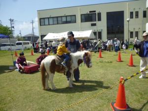 ふれあいどうぶつ園