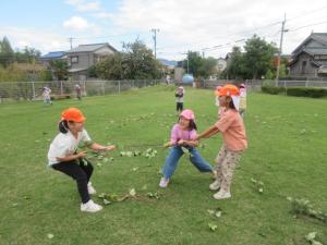 芋のつるで引っ張り合いをしています