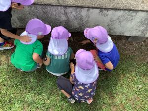 虫探しをしています