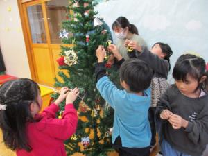 クリスマスツリーを飾ってくれました