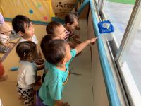 あげは蝶を見ている