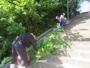 階段での草取り