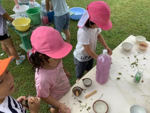 草花を使った色水遊びをしています