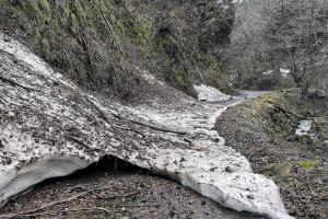 玄蕃尾城林道残雪状況