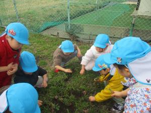 かえるを発見しています