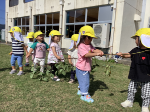 いものつるで綱引きをしています