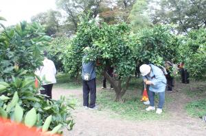 寿学級（第7回）の様子