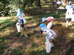 木の実を拾っている写真