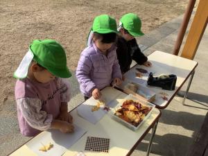 落ち葉を使って制作遊びをしている写真