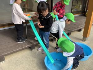 どんぐりを転がしている画像