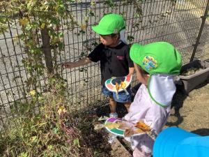 秋の色探しをしている画像