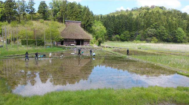 古民家と田んぼの風景写真