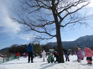 木の下で雪遊びをしている写真