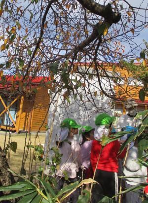 幼虫を見つけた写真