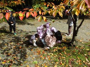 落ち葉を見ています