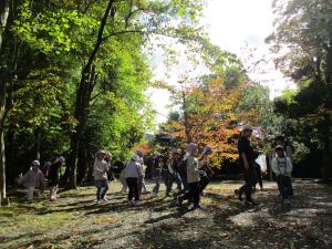 木漏れ日の下を歩いています