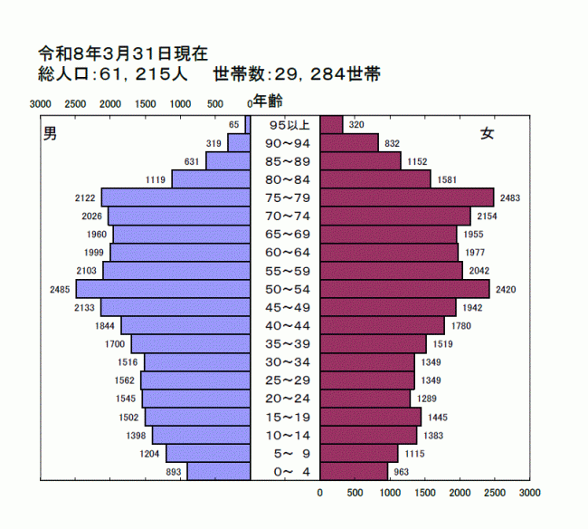 令和8年人口ピラミッド図