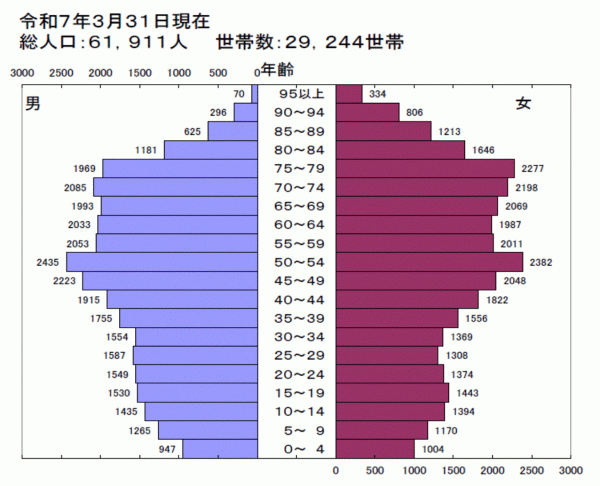 令和7年人口ピラミッド図