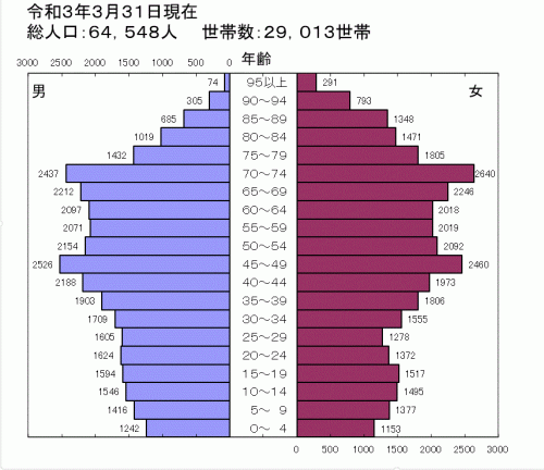 令和3年人口ピラミッド図