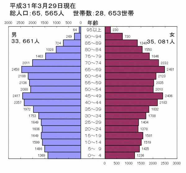 平成31年人口ピラミッド図