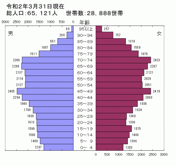令和2年人口ピラミッド図
