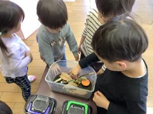 かたつむりの世話をしています