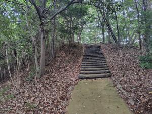 天筒山城跡周辺