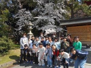 桜の下で4年生から6年生の集合写真