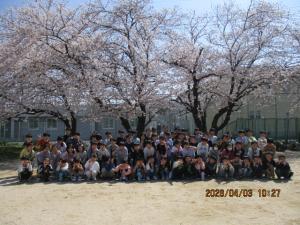 桜の下で集合写真を撮っています