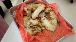 敦賀真鯛を使った料理の画像